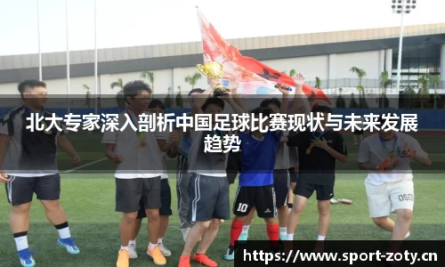 北大专家深入剖析中国足球比赛现状与未来发展趋势