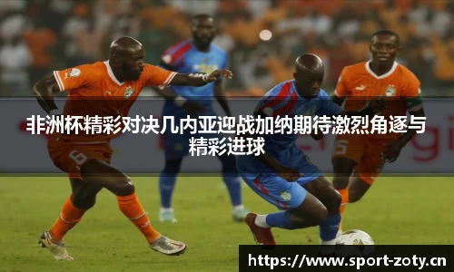 中欧体育平台