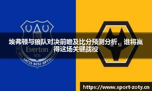 埃弗顿与狼队对决前瞻及比分预测分析，谁将赢得这场关键战役