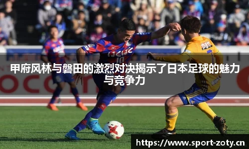 中欧体育