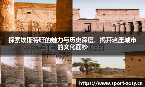中欧体育官方网站