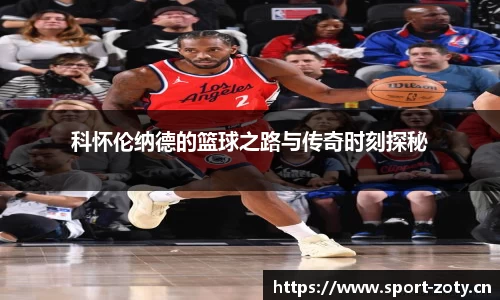 中欧体育